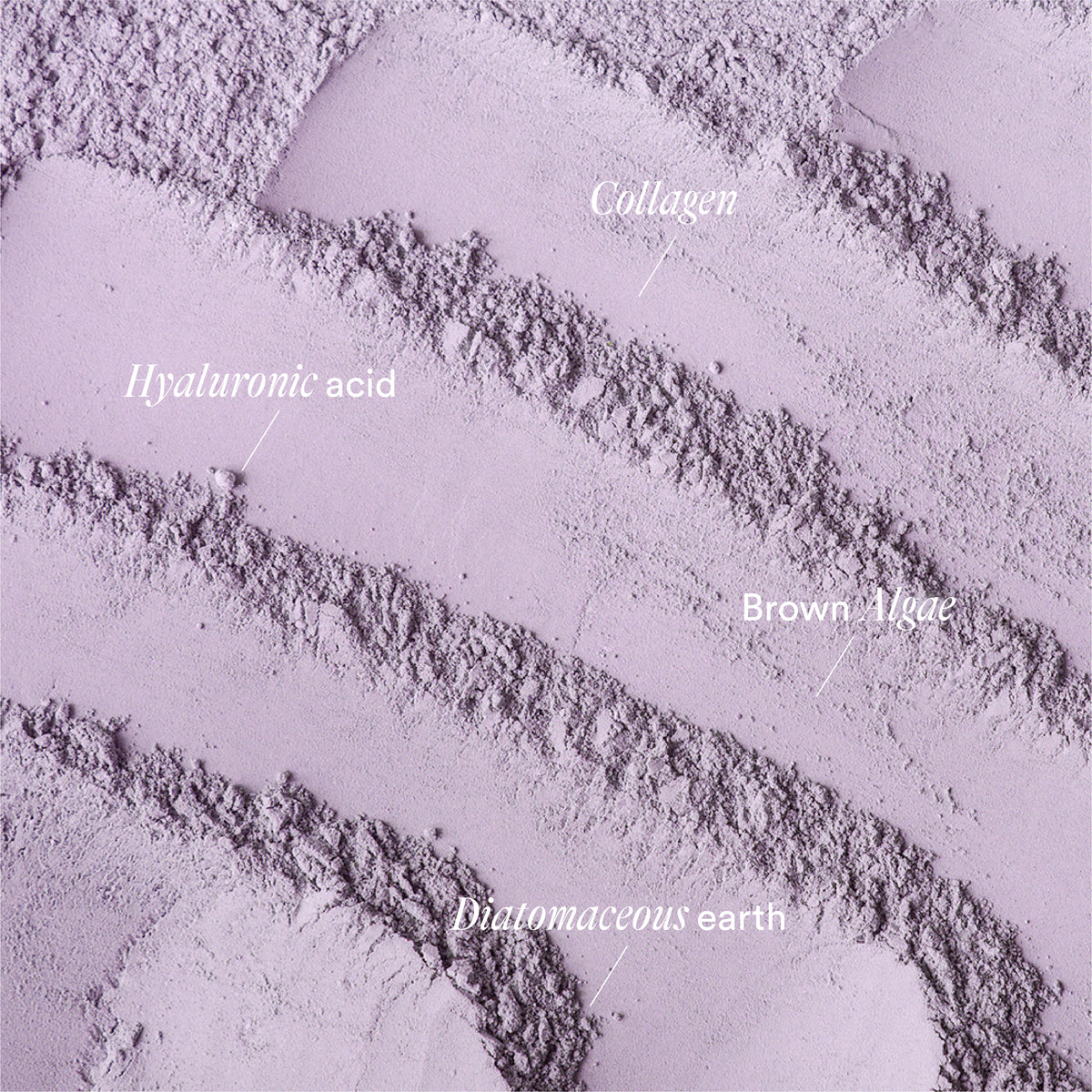 REJUVENATE Algae anti-ageing mask