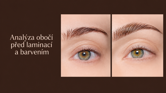 Analýza obočí před laminací a barvením
