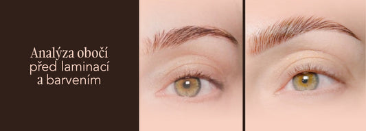 Analýza obočí před laminací a barvením