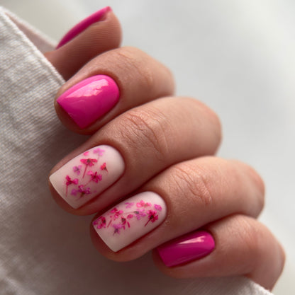 Stavební Gel BBIO "Didier Lab" Pink Dynamic, 15ml